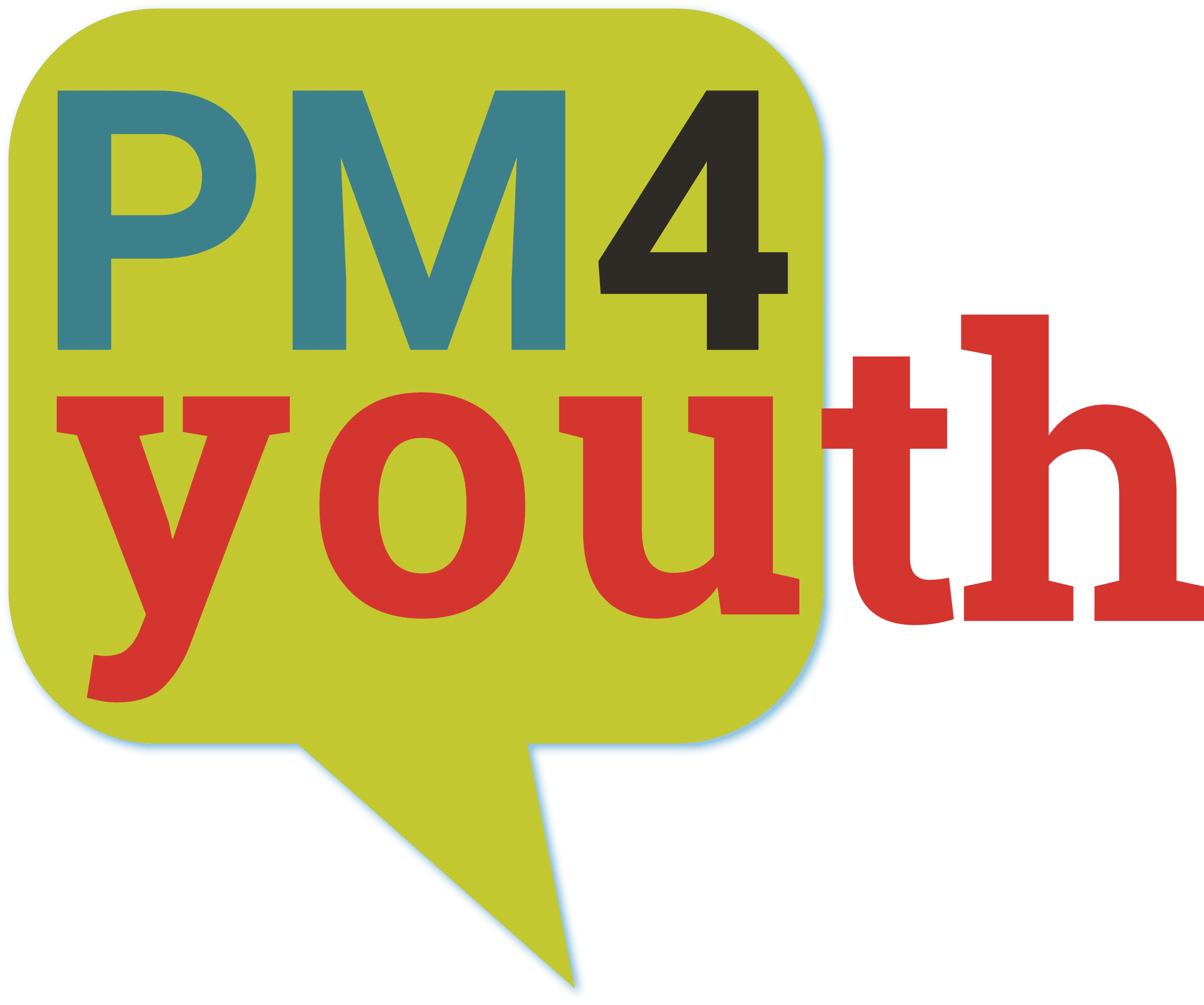 PM4Youth Logo