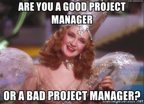 Good-Project-Manager