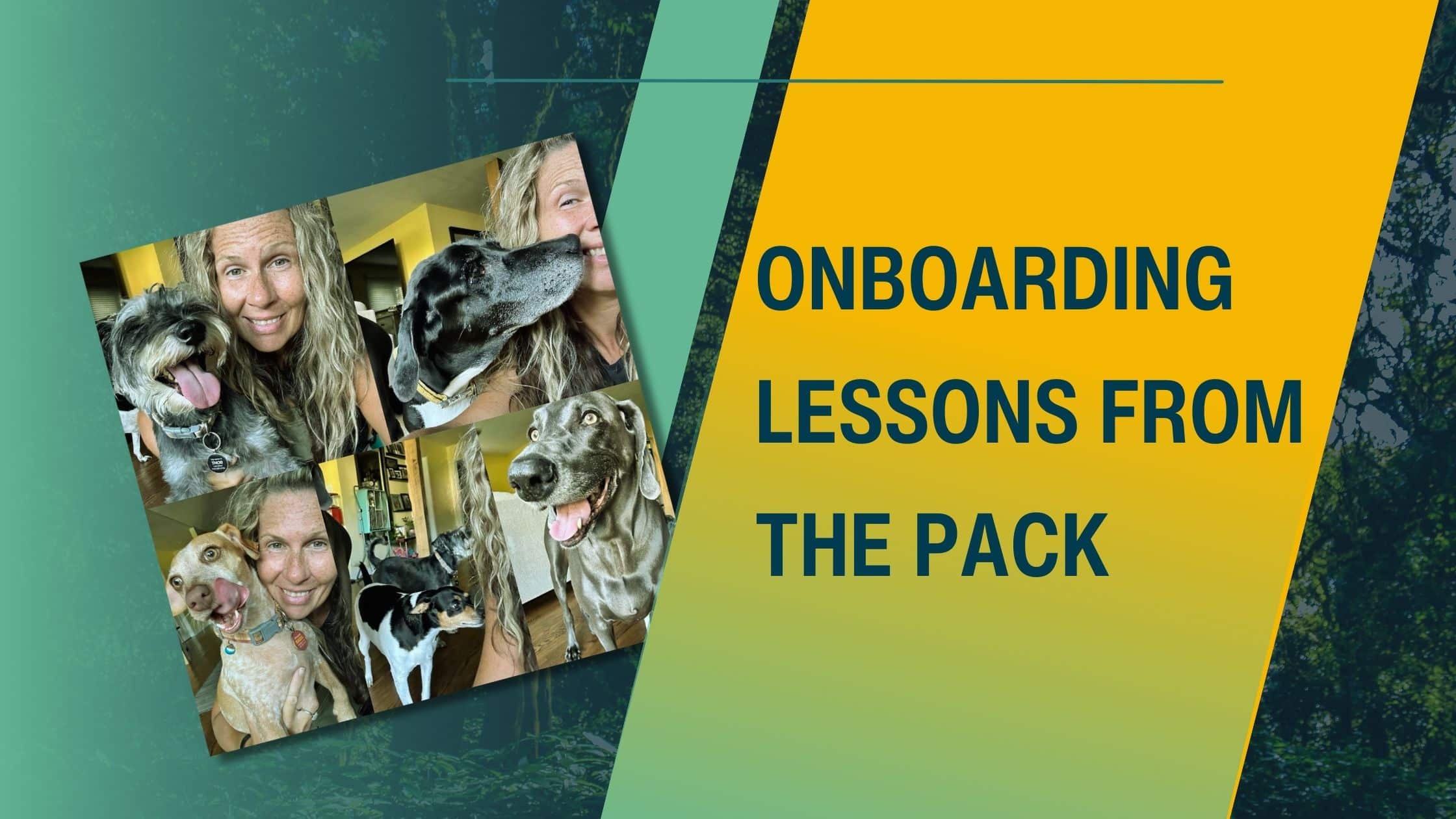 Onboarding by the pack